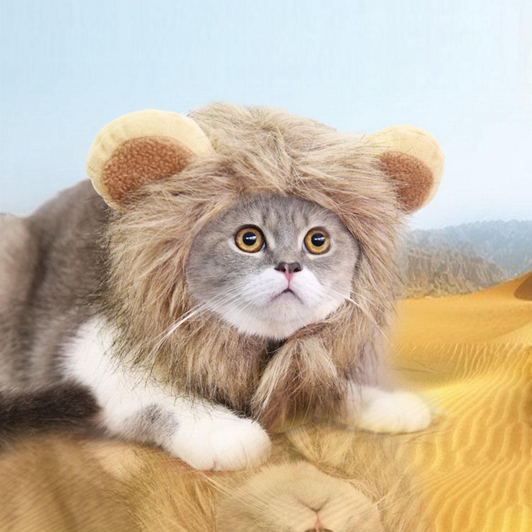 Details about Funny Lion\u0027s Head Shaped Cute Cat Hat Pet Halloween Dress Up Costume OK
